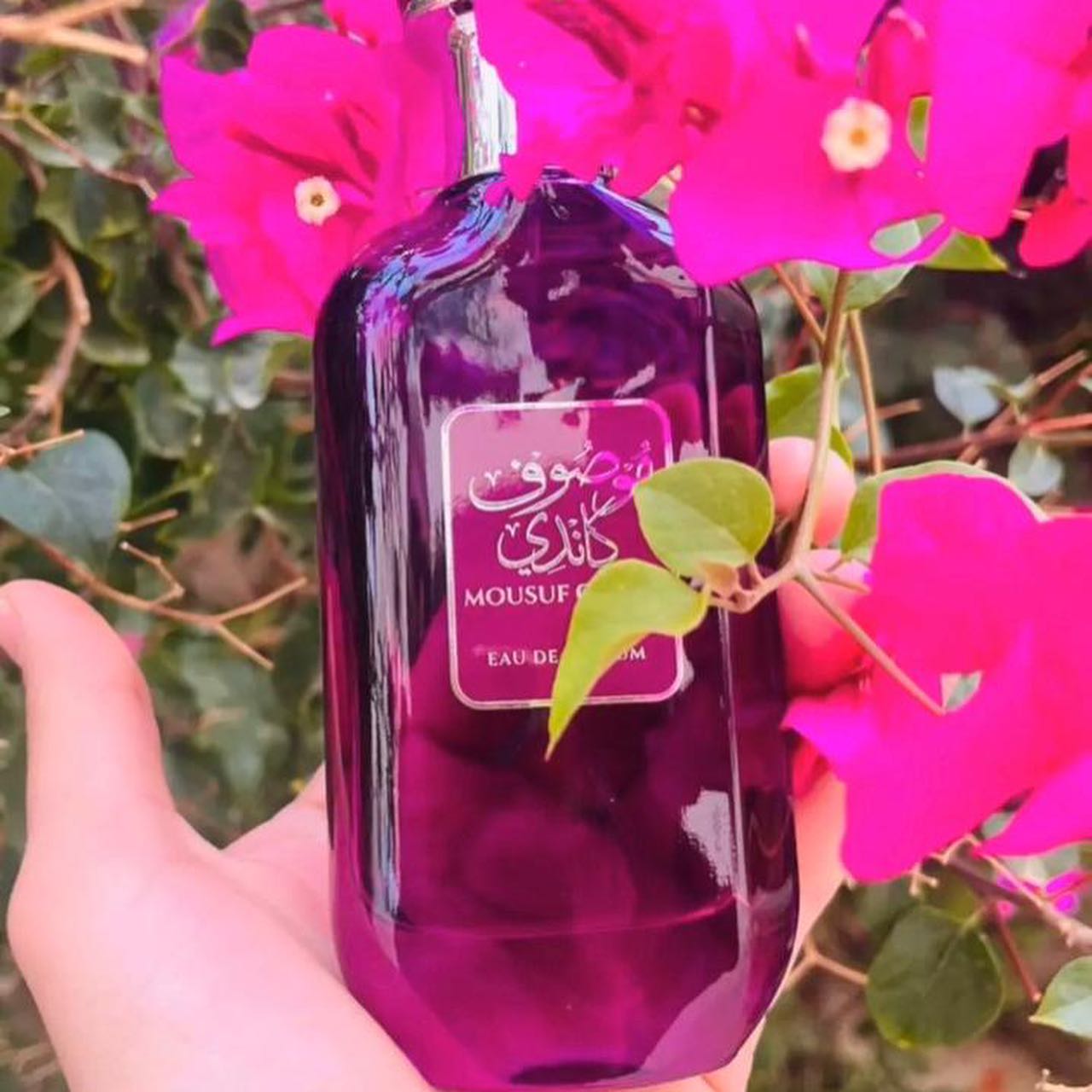 عود 24 ساعه