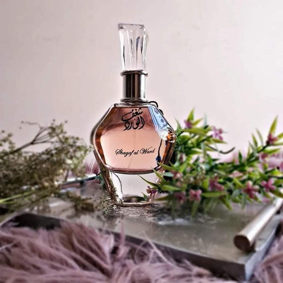 عود 24 ساعه
